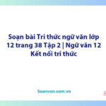 Soạn bài Tri thức ngữ văn lớp 12 trang 38 Tập 2 | Ngữ văn 12 Kết nối tri thức