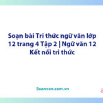 Soạn bài Tri thức ngữ văn lớp 12 trang 4 Tập 2 | Ngữ văn 12 Kết nối tri thức