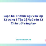 Soạn bài Tri thức ngữ văn lớp 12 trang 5 Tập 2 | Ngữ văn 12 Chân trời sáng tạo