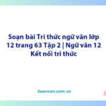 Soạn bài Tri thức ngữ văn lớp 12 trang 63 Tập 2 | Ngữ văn 12 Kết nối tri thức