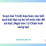 Soạn bài Trình bày báo cáo kết quả bài tập sự án về một vấn đề xã hội | Ngữ văn 12 Chân trời sáng tạo