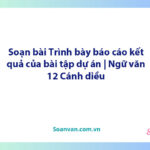 Soạn bài Trình bày báo cáo kết quả của bài tập dự án | Ngữ văn 12 Cánh diều