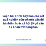 Soạn bài Trình bày báo cáo kết quả nghiên cứu về một vấn đề tự nhiên hoặc xã hội | Ngữ văn 12 Chân trời sáng tạo