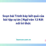 Soạn bài Trình bày kết quả của bài tập sự án | Ngữ văn 12 Kết nối tri thức