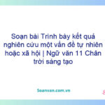 Soạn bài Trình bày kết quả nghiên cứu một vấn đề tự nhiên hoặc xã hội | Ngữ văn 11 Chân trời sáng tạo