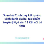 Soạn bài Trình bày kết quả so sánh, đánh giá hai tác phẩm truyện | Ngữ văn 12 Kết nối tri thức