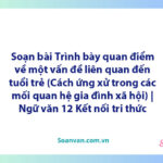 Soạn bài Trình bày quan điểm về một vấn đề liên quan đến tuổi trẻ (Cách ứng xử trong các mối quan hệ gia đình, xã hội) | Ngữ văn 12 Kết nối tri thức