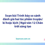 Soạn bài Trình bày so sánh, đánh giá hai tác phẩm truyện/ kí hoặc kịch | Ngữ văn 12 Chân trời sáng tạo