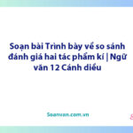 Soạn bài Trình bày về so sánh, đánh giá hai tác phẩm kí | Ngữ văn 12 Cánh diều