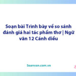 Soạn bài Trình bày về so sánh, đánh giá hai tác phẩm thơ | Ngữ văn 12 Cánh diều