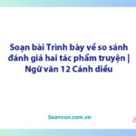 Soạn bài Trình bày về so sánh, đánh giá hai tác phẩm truyện | Ngữ văn 12 Cánh diều