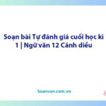 Soạn bài Tự đánh giá cuối học kì 1 | Ngữ văn 12 Cánh diều