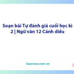 Soạn bài Tự đánh giá cuối học kì 2 | Ngữ văn 12 Cánh diều