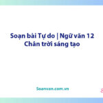 Soạn bài Tự do | Ngữ văn 12 Chân trời sáng tạo