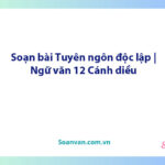 Soạn bài Tuyên ngôn độc lập | Ngữ văn 12 Cánh diều