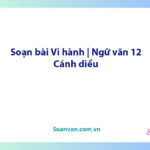 Soạn bài Vi hành | Ngữ văn 12 Cánh diều