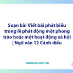 Soạn bài Viết bài phát biểu trong lễ phát động một phong trào hoặc một hoạt động xã hội | Ngữ văn 12 Cánh diều