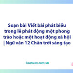 Soạn bài Viết bài phát biểu trong lễ phát động một phong trào hoặc một hoạt động xã hội | Ngữ văn 12 Chân trời sáng tạo