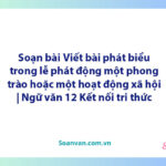 Soạn bài Viết bài phát biểu trong lễ phát động một phong trào hoặc một hoạt động xã hội | Ngữ văn 12 Kết nối tri thức