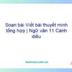 Soạn bài Viết bài thuyết minh tổng hợp | Ngữ văn 11 Cánh diều