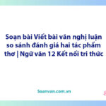 Soạn bài Viết bài văn nghị luận so sánh, đánh giá hai tác phẩm thơ | Ngữ văn 12 Kết nối tri thức