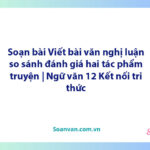 Soạn bài Viết bài văn nghị luận so sánh, đánh giá hai tác phẩm truyện | Ngữ văn 12 Kết nối tri thức