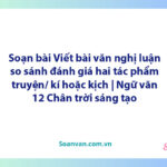 Soạn bài Viết bài văn nghị luận so sánh, đánh giá hai tác phẩm truyện/ kí hoặc kịch | Ngữ văn 12 Chân trời sáng tạo