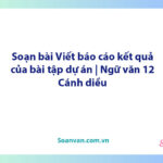 Soạn bài Viết báo cáo kết quả của bài tập dự án | Ngữ văn 12 Cánh diều