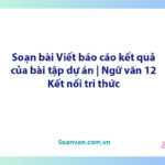 Soạn bài Viết báo cáo kết quả của bài tập dự án | Ngữ văn 12 Kết nối tri thức