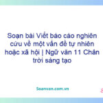 Soạn bài Viết báo cáo nghiên cứu về một vấn đề tự nhiên hoặc xã hội | Ngữ văn 11 Chân trời sáng tạo