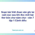 Soạn bài Viết đoạn văn ghi lại cảm xúc sau khi đọc một bài thơ | Cánh diều Ngữ văn 7