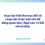 Soạn bài Viết thư trao đổi về công việc hoặc một vấn đề đáng quan tâm | Ngữ văn 12 Kết nối tri thức