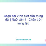 Soạn bài Vĩnh biệt cửu trùng đài | Ngữ văn 11 Chân trời sáng tạo