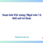 Soạn bài Vội vàng | Ngữ văn 12 Kết nối tri thức