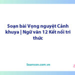 Soạn bài Vọng nguyệt, Cảnh khuya | Ngữ văn 12 Kết nối tri thức