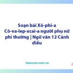 Soạn bài Xô-phi-a Cô-va-lep-xcai-a người phụ nữ phi thường | Ngữ văn 12 Cánh diều