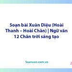 Soạn bài Xuân Diệu (Hoài Thanh – Hoài Chân) | Ngữ văn 12 Chân trời sáng tạo