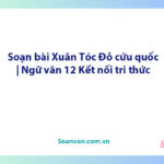 Soạn bài Xuân Tóc Đỏ cứu quốc | Ngữ văn 12 Kết nối tri thức