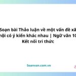 Soạn bài Thảo luận về một vấn đề xã hội có ý kiến khác nhau | Ngữ văn 10 Kết nối tri thức