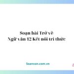 Soạn bài Trở về | Ngữ văn 12 Kết nối tri thức