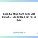 soạn bài thực hành tiếng việt trang 51 văn 12 tập 1 kết nối tri thức