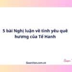 5 bài Nghị luận về tình yêu quê hương của Tế Hanh