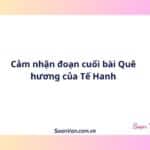 Cảm nhận đoạn cuối bài Quê hương của Tế Hanh