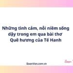Những tình cảm, nỗi niềm sống dậy trong em qua bài thơ Quê hương của Tế Hanh