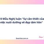 10 Mẫu Nghị luận "Sự cần thiết của việc nuôi dưỡng vẻ đẹp tâm hồn"