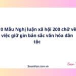 10 Mẫu Nghị luận xã hội 200 chữ về việc giữ gìn bản sắc văn hóa dân tộc