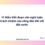 11 Mẫu Viết đoạn văn nghị luận trách nhiệm của công dân đối với đất nước