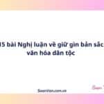 15 bài Nghị luận về giữ gìn bản sắc văn hóa dân tộc