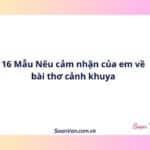 16 Mẫu Nêu cảm nhận của em về bài thơ cảnh khuya