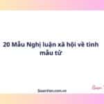 20 Mẫu Nghị luận xã hội về tình mẫu tử